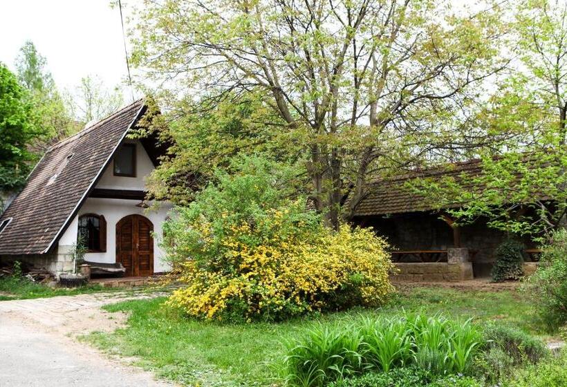 Апартаменты 1 Спальня, Myrtus Pince és Vendégház