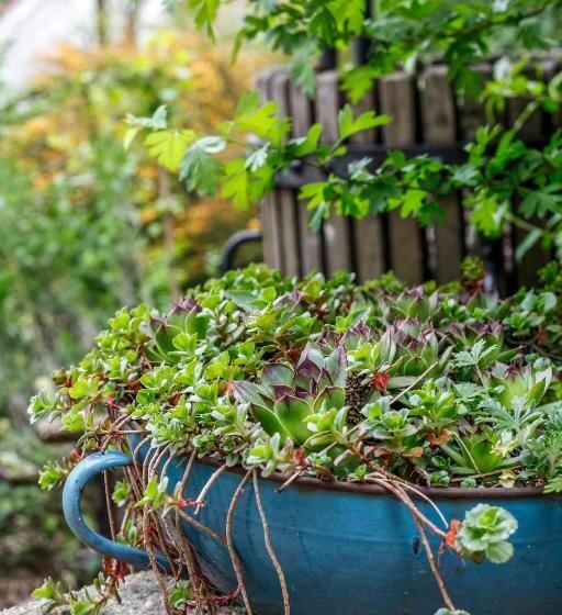 דירת שני חדרים, Myrtus Pince és Vendégház