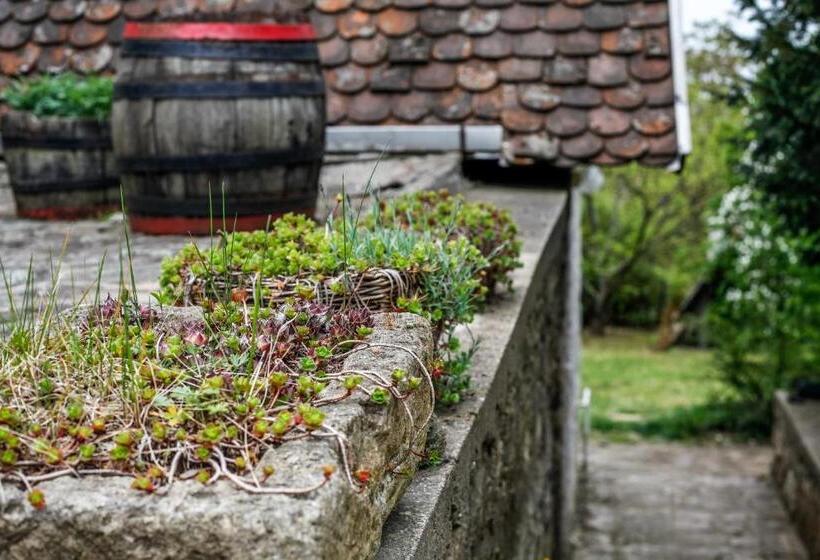 דירת שני חדרים, Myrtus Pince és Vendégház