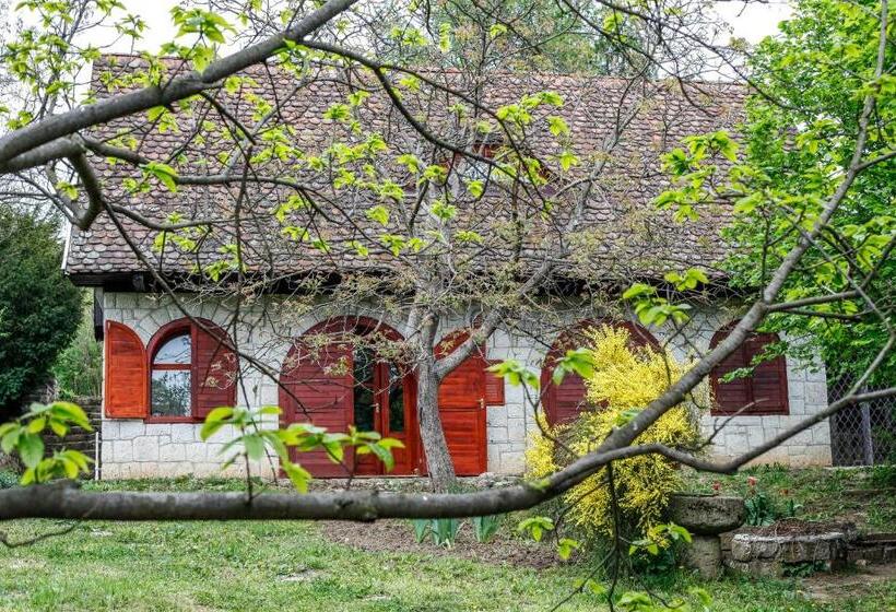 דירת שני חדרים, Myrtus Pince és Vendégház