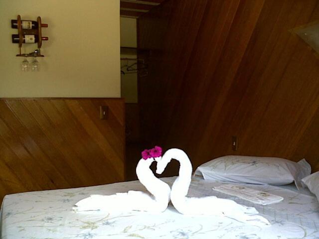 Standardzimmer, Pousada Recanto Das águas