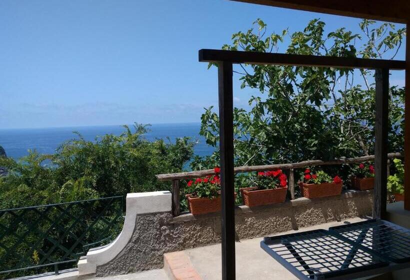 Escritório Estándar, Residence Giardino Del Sole