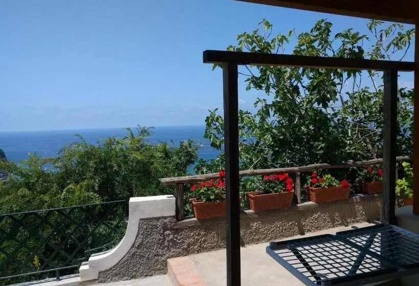 スタンダードスタジオ, Residence Giardino Del Sole