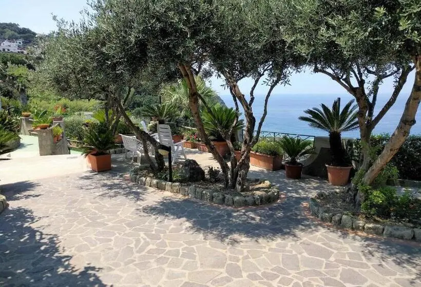 オーシャンビュースタンダードルームバルコニー付き, Residence Giardino Del Sole