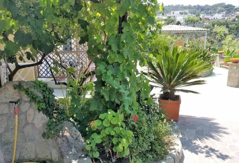 オーシャンビュースタンダードルームバルコニー付き, Residence Giardino Del Sole