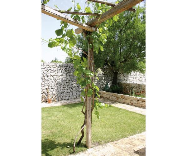 חדר סטנדרט נוף לגינה, Agriturismo Antonelli Piangevino