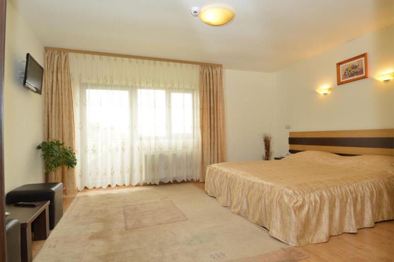 스탠다드 발코니 룸, Pensiunea Andra