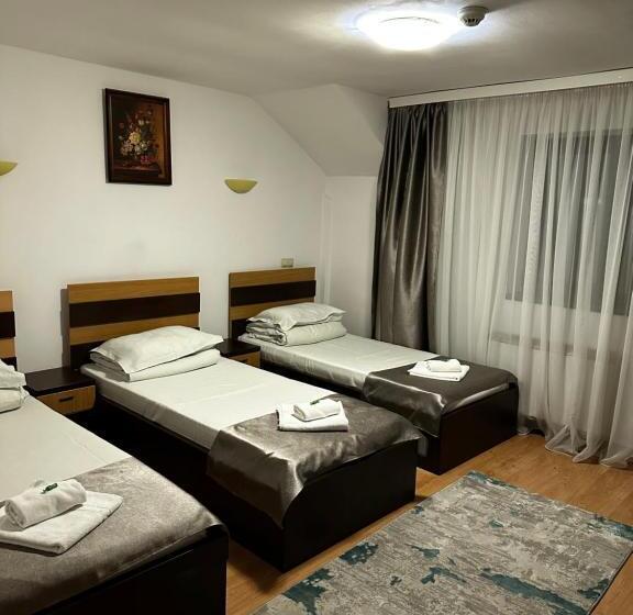 스탠다드 트리플 룸, Pensiunea Andra