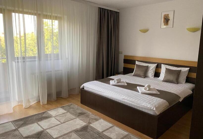 발코니 디럭스 룸, Pensiunea Andra