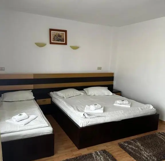 اتاق سوپریور سه تخته, Pensiunea Andra