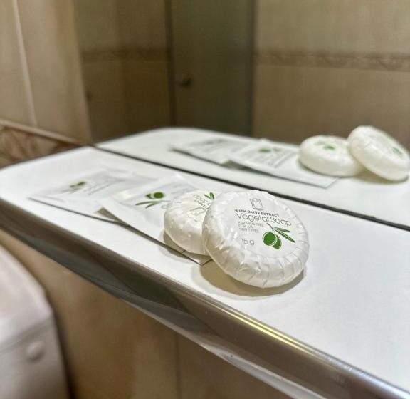 수피리어 트리플 룸, Pensiunea Andra