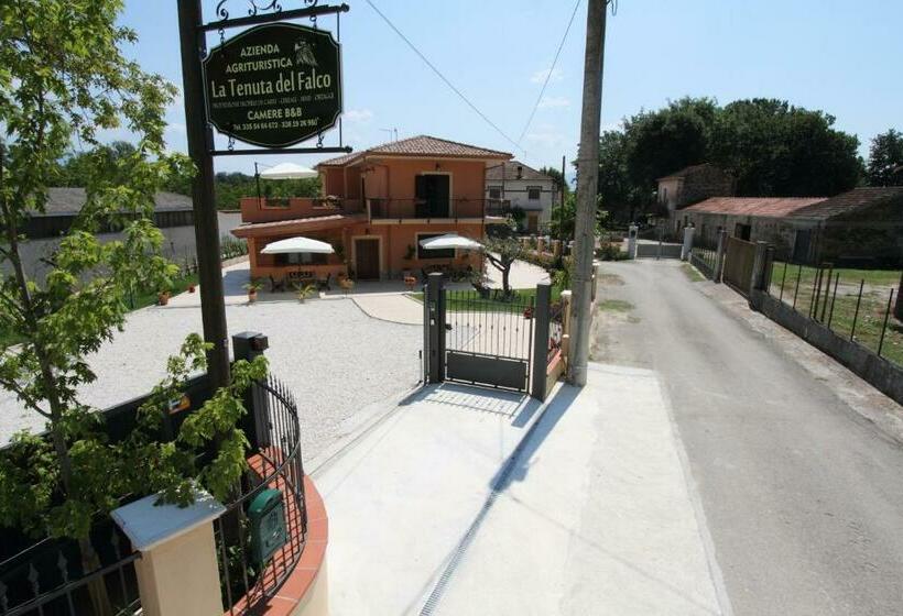 Номер Стандарт Индивидуальный, Azienda Agrituristica La Tenuta Del Falco