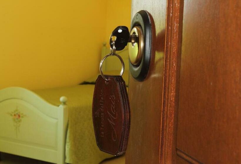 Номер Стандарт Индивидуальный, Azienda Agrituristica La Tenuta Del Falco