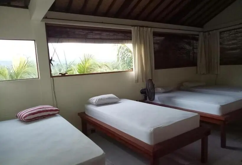 ルームシェアのワンベッド, Amed Stop Inn Homestay, Rooftop Restaurant And Bar