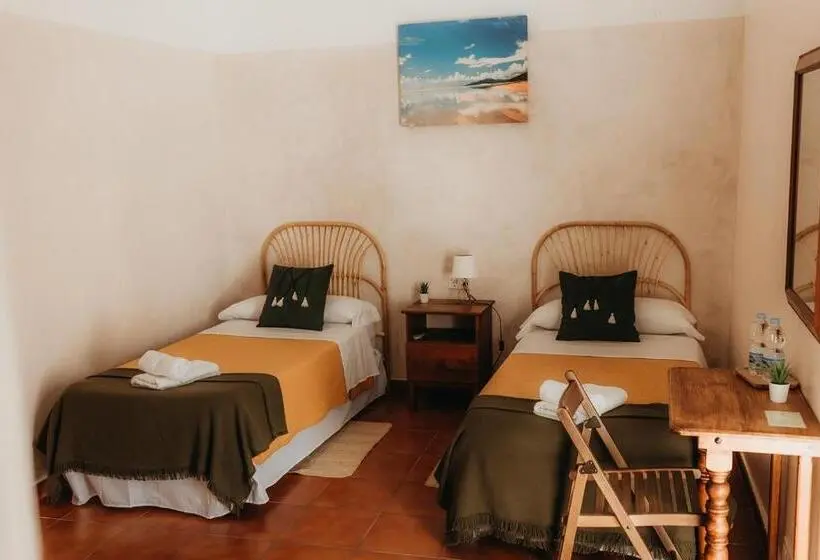 Standardrum, Hostal Africa