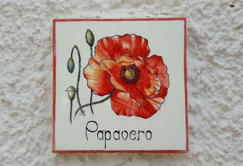 １ベッドルームアパートメント, La Ferula Bed&pool