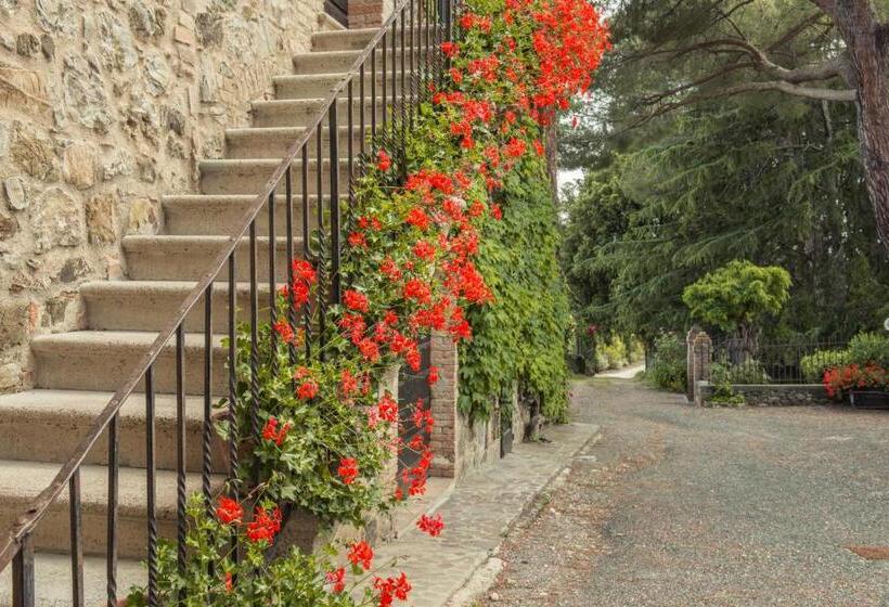 اتاق سوپریور, Tenuta Il Cicalino