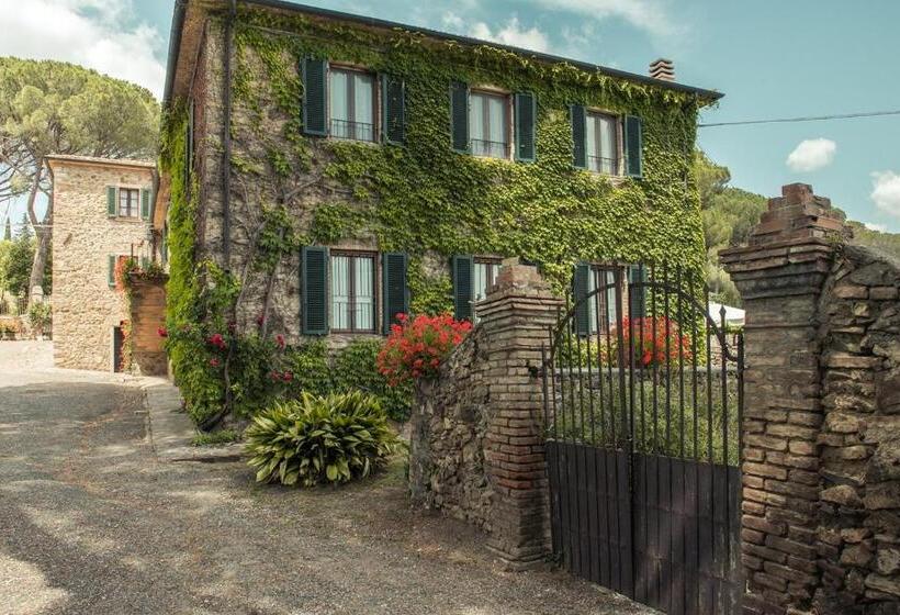 Номер Стандарт, Tenuta Il Cicalino
