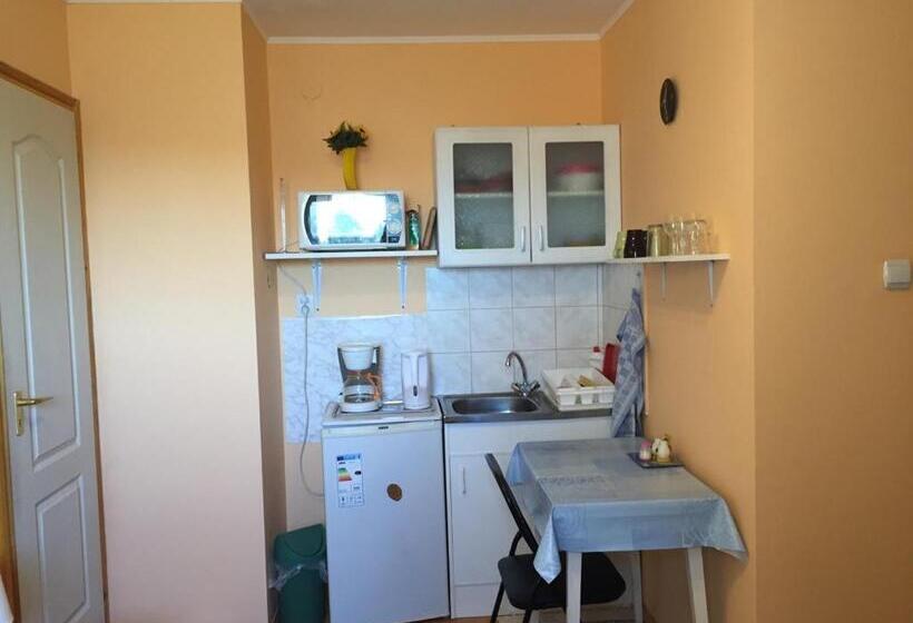 חדר סטודיו סטנדרד, Katalin Vendégház