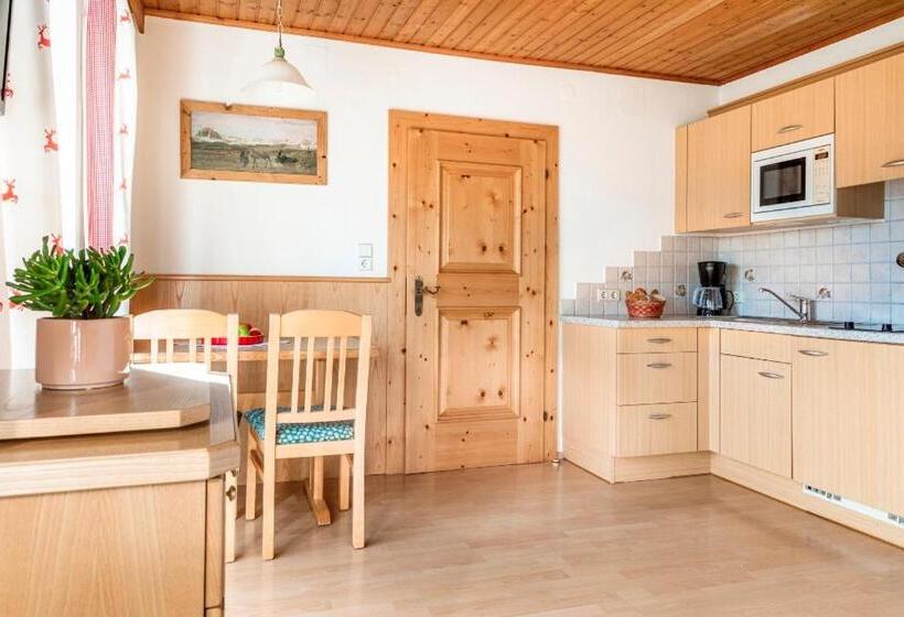 شقة غرفة نوم واحدة مزودة بشُرفة, Prechtlhof In Flachau