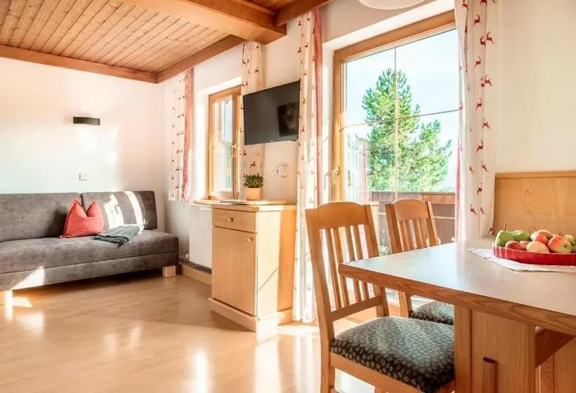 バルコニー付き１ベッドルームアパートメント, Prechtlhof In Flachau