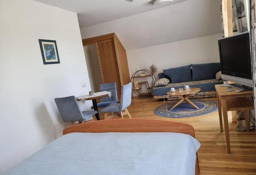 اتاق خانوادگی, Birutes Apartments