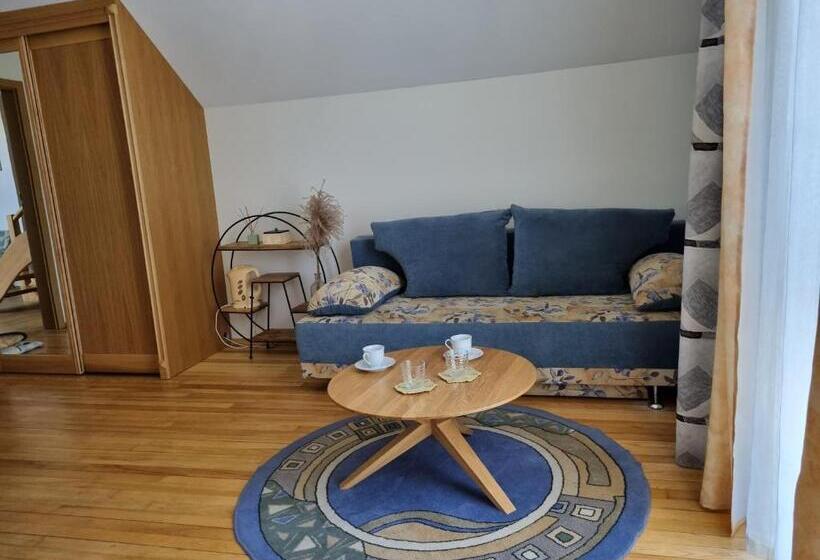 اتاق خانوادگی, Birutes Apartments