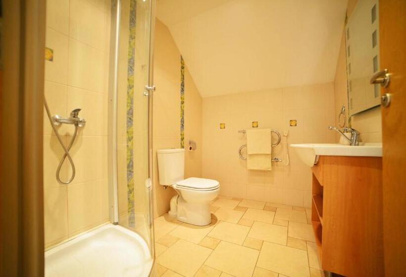 اتاق لوکس چهار تخته, Birutes Apartments