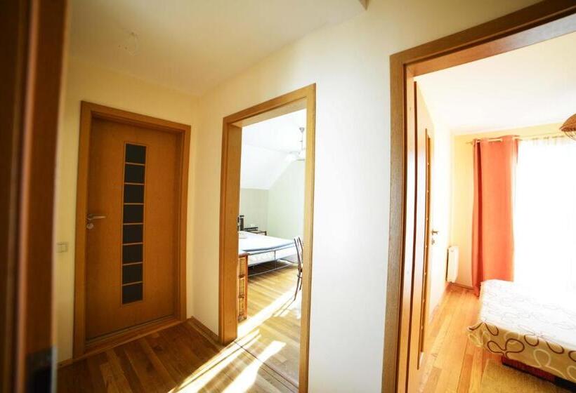 اتاق لوکس چهار تخته, Birutes Apartments