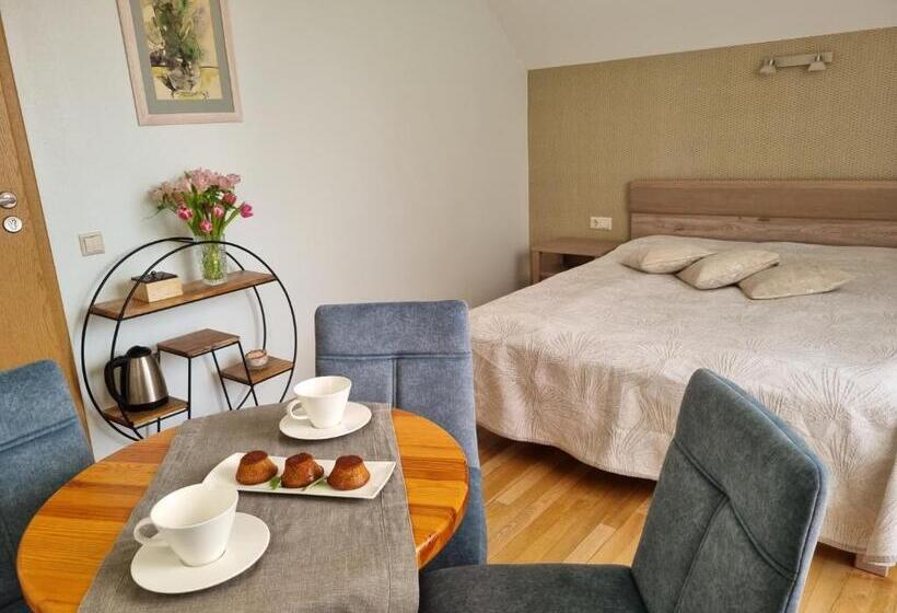 اتاق لوکس چهار تخته, Birutes Apartments