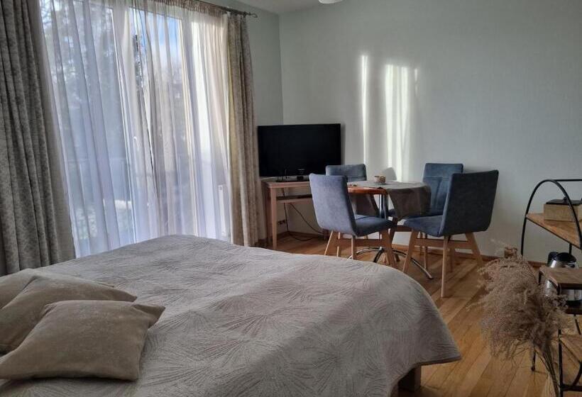 اتاق لوکس چهار تخته, Birutes Apartments