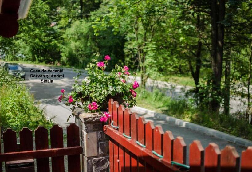 إستوديو قياسى, Casa De Vacanta Razvan Si Andrei