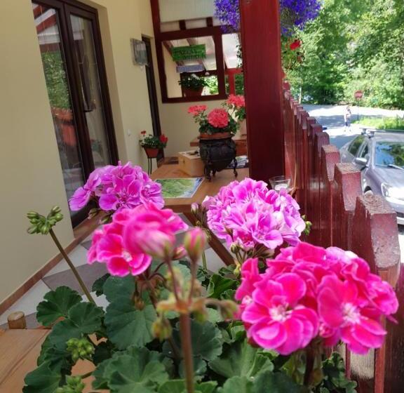 إستوديو قياسى, Casa De Vacanta Razvan Si Andrei