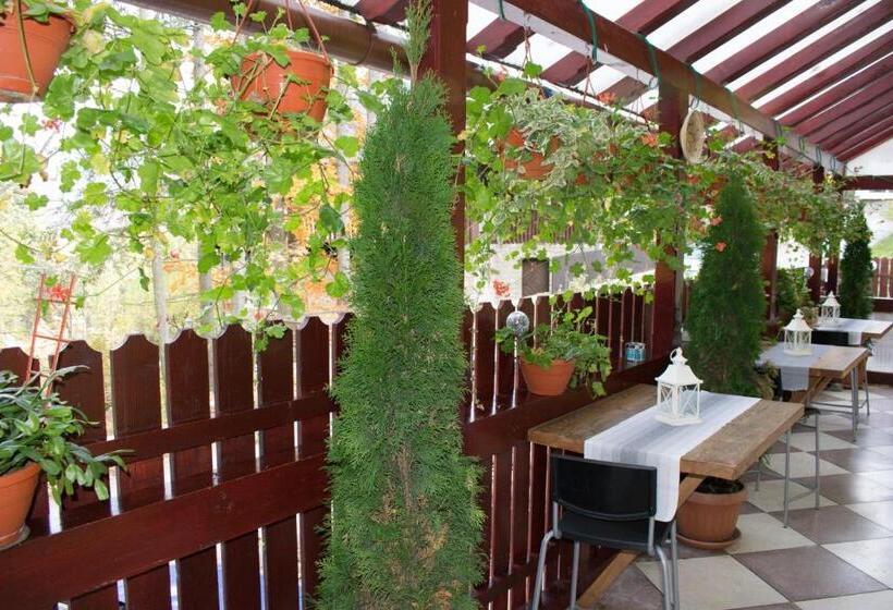 غرفة قياسية, Casa De Vacanta Razvan Si Andrei