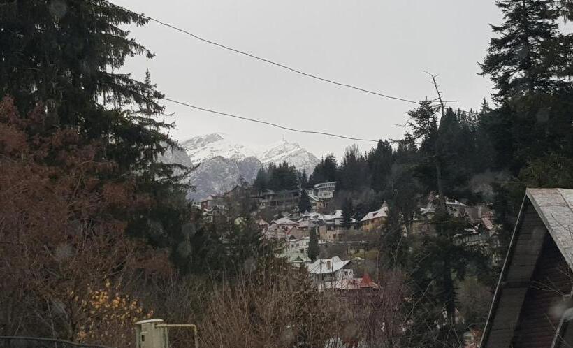 غرفة قياسية, Casa De Vacanta Razvan Si Andrei