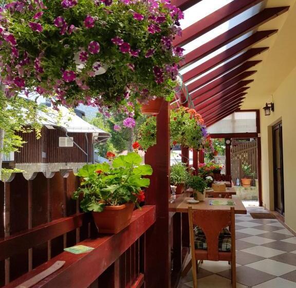 غرفة قياسية, Casa De Vacanta Razvan Si Andrei