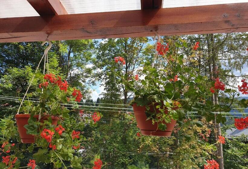 شقة عائلية مع تراس, Casa De Vacanta Razvan Si Andrei