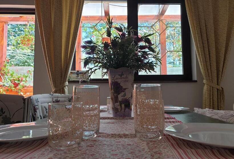 Family flat with terrace, Casa De Vacanta Razvan Si Andrei