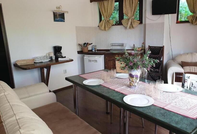 شقة عائلية مع تراس, Casa De Vacanta Razvan Si Andrei