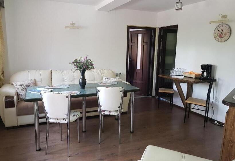 Family flat with terrace, Casa De Vacanta Razvan Si Andrei