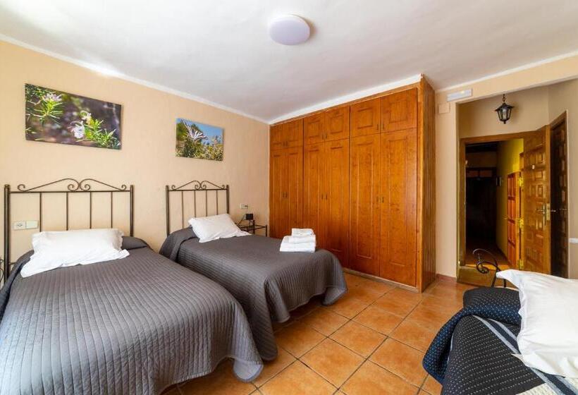 标准三人间, Fonda La Plaza