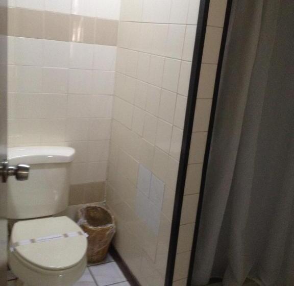 سوئیت با تخت بزرگ, Arecibo Inn