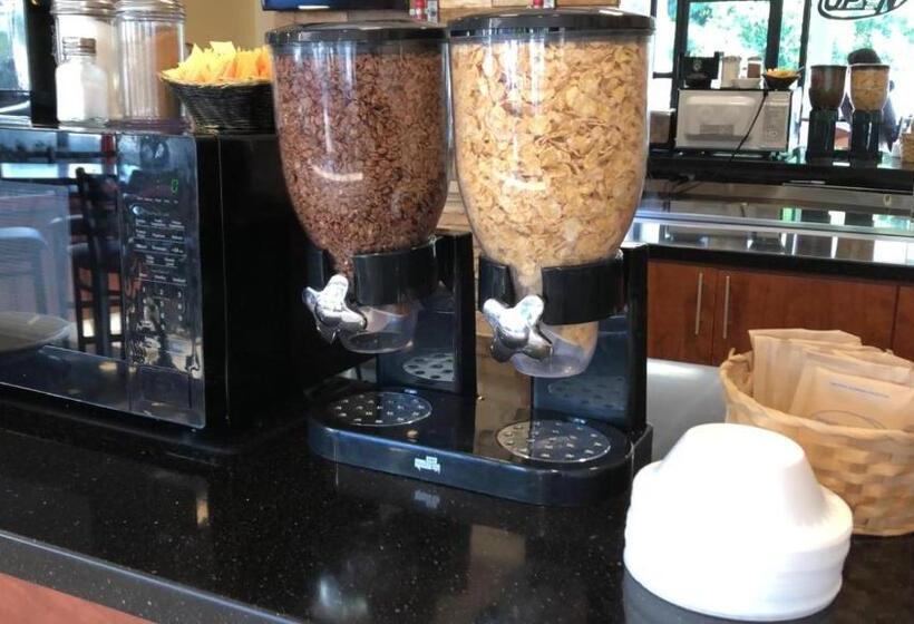 سوئیت با تخت بزرگ, Arecibo Inn