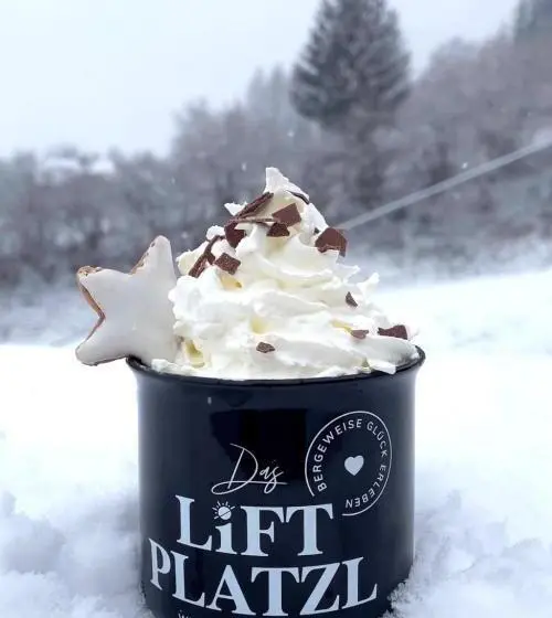 テラスつきの2ベッドルームアパートメント, Das Liftplatzl