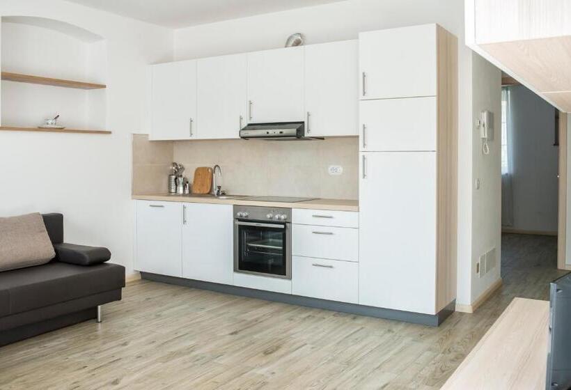 Апартаменты 1 Спальня Нижний Этаж, Apartment Residence Veronika