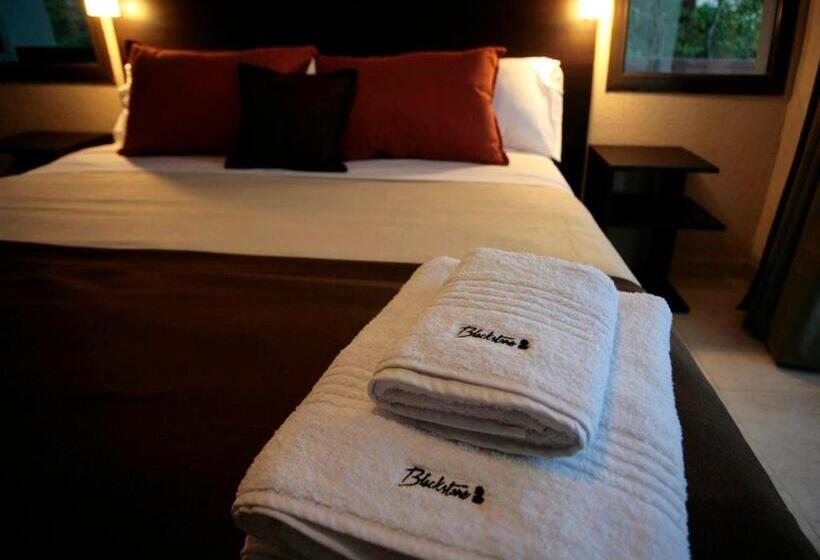 آپارتمان لوکس 1 خوابه, Blackstone Apart Boutique