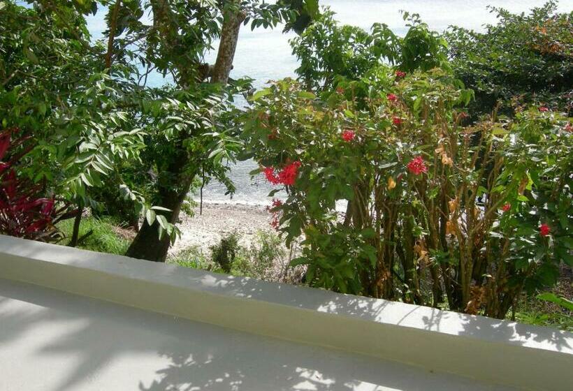 استودیوی استاندارد, Casa Del Vega A Little Peace Of Heaven