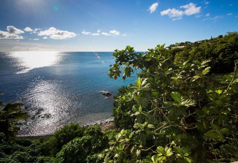 آپارتمان 3 خوابه با چشمانداز دریا, Casa Del Vega A Little Peace Of Heaven