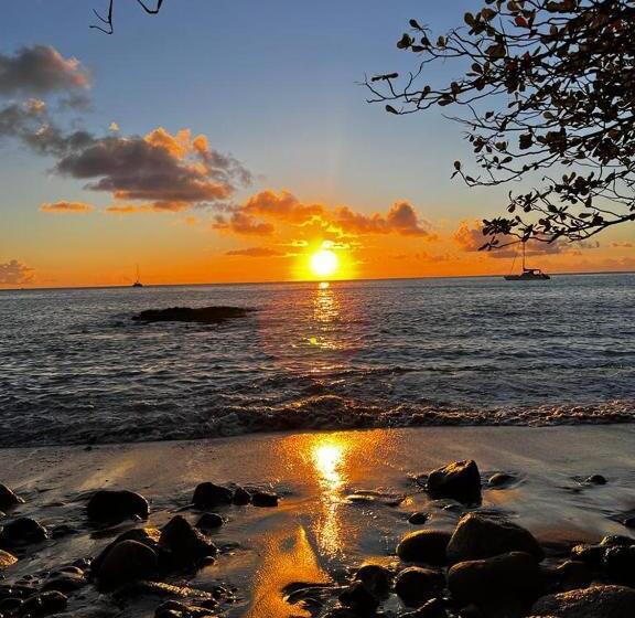 استودیو استاندارد با تراس, Casa Del Vega A Little Peace Of Heaven