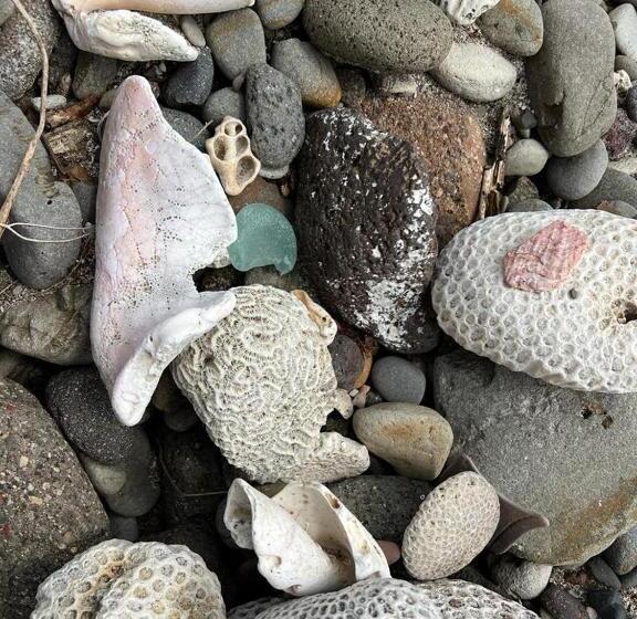 استودیو استاندارد با تراس, Casa Del Vega A Little Peace Of Heaven